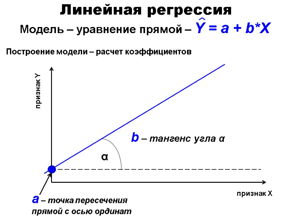 признак X признак Y α b – тангенс угла α a – точка пересечения